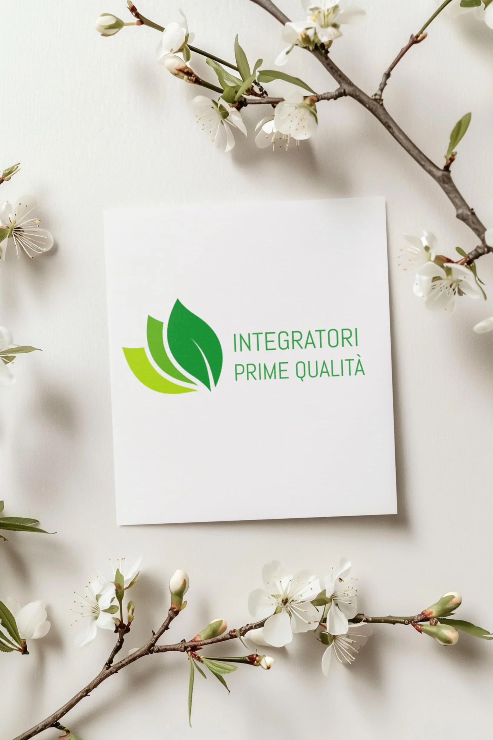 Semi di Zucca Olio Capsule Molli 280 Softgels Acido Linoleico Acido Oleico Omega 3-6-9 Olio Spremuto a Freddo