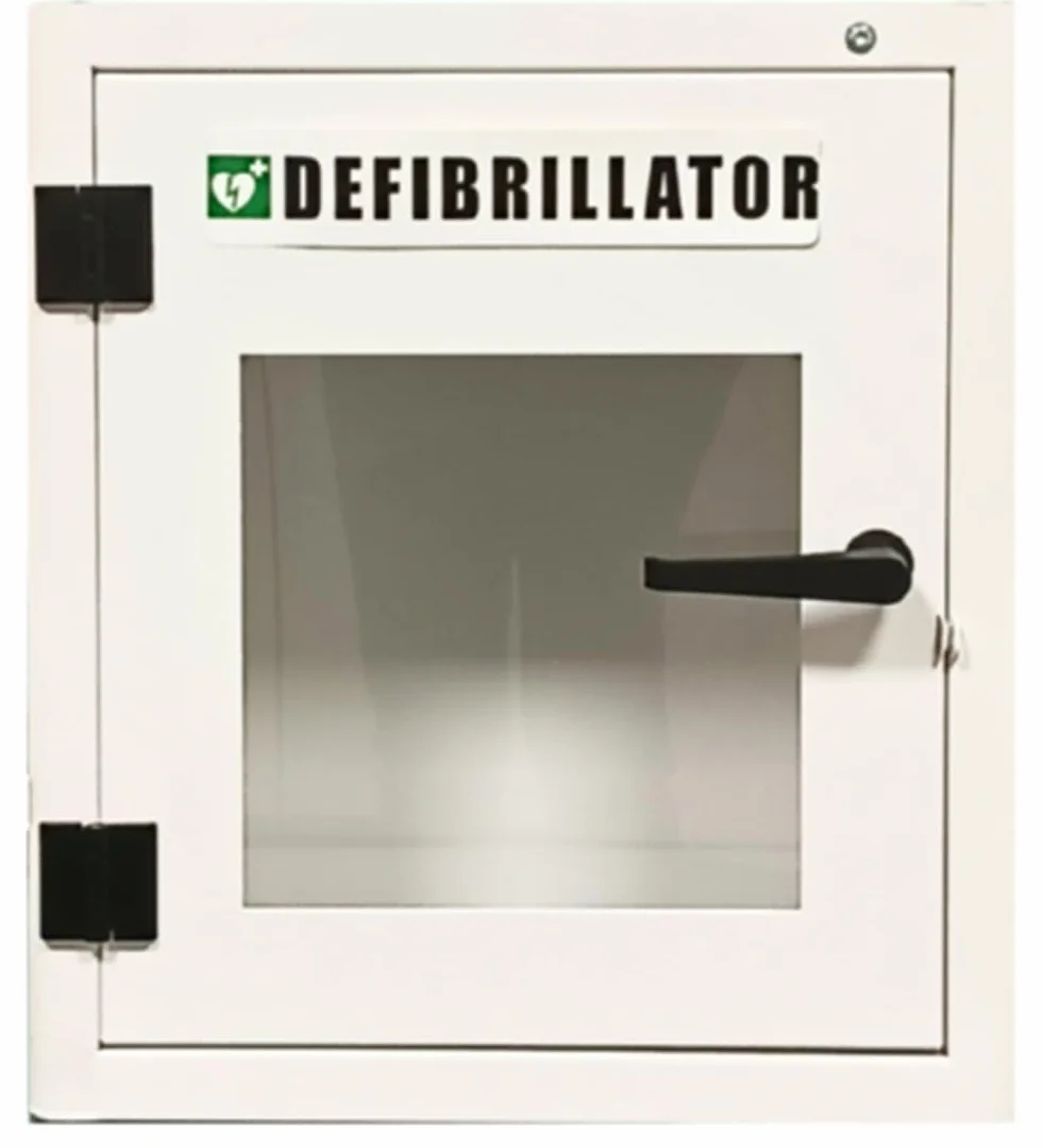 Defibrillatore da esterno ed interno in acciaio con luce crepuscolare allarmata 420x210x420 mm