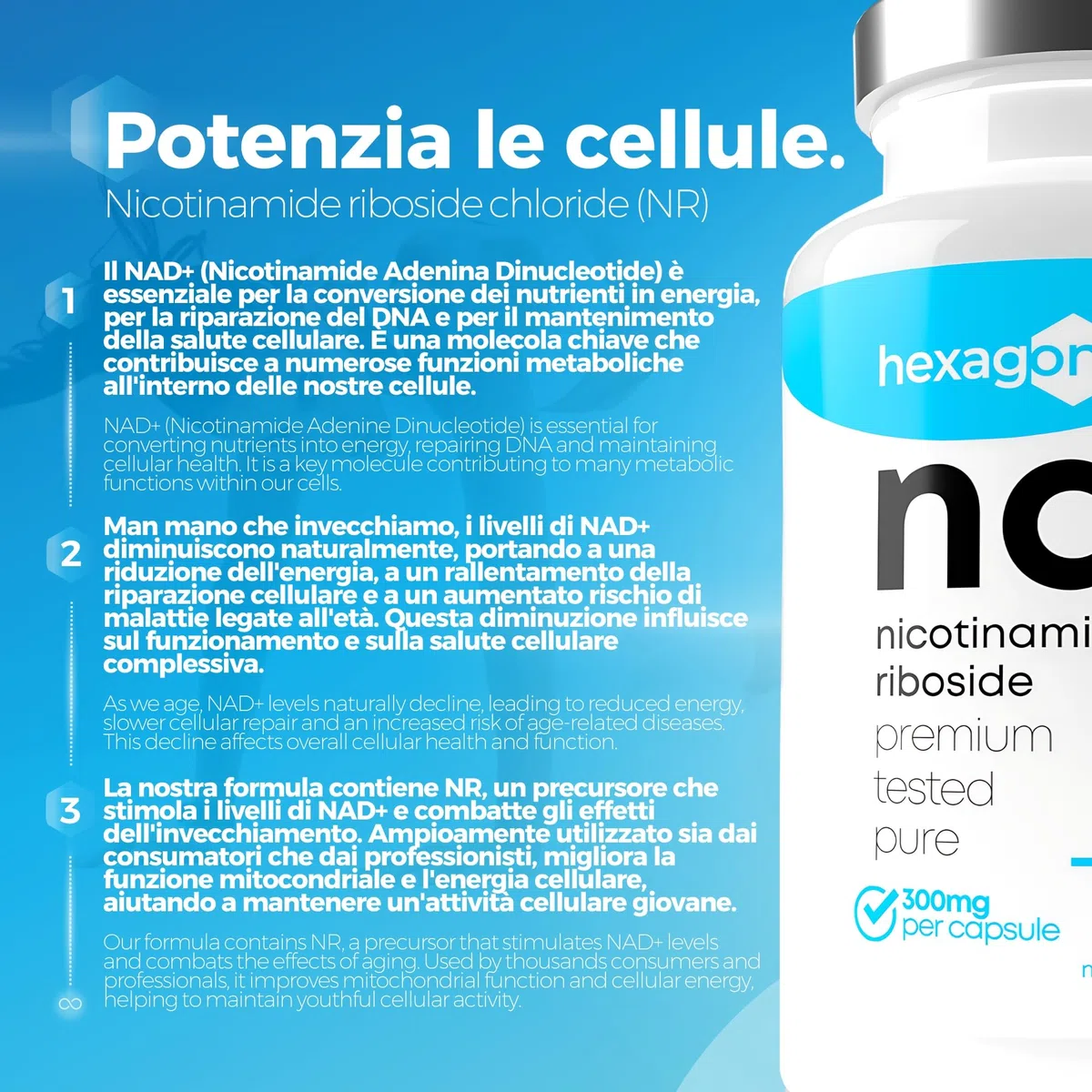 NAD+ Nicotinamide Riboside Chloride 300mg - +6 Mesi di Cura - NAD Booster - Anti-Età e Contro la Fatica, Supporto Nervoso - 180 Capsule Vegetali - Vegan & Premium - Hexagon