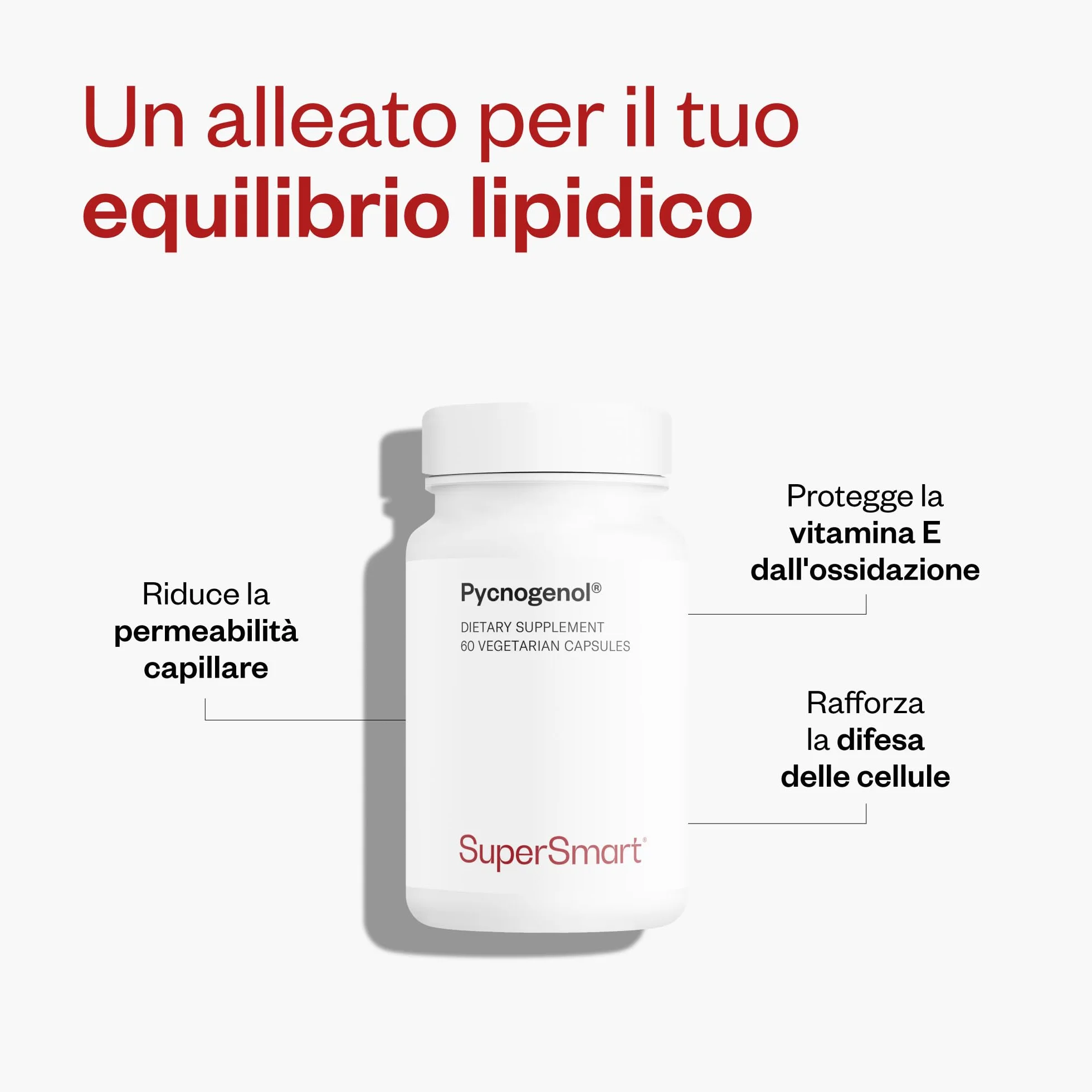 Pycnogenol® 60 capsule vegetali supporta circolazione sanguigna e comfort gambe