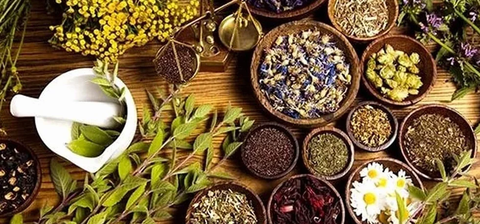 DETOX FORTE PULIZIA COMPLETA DELL'INTESTINO SGONFIA PANCIA FLORA SANA TRANSITO ELIMINA STIPSI 2025-2026