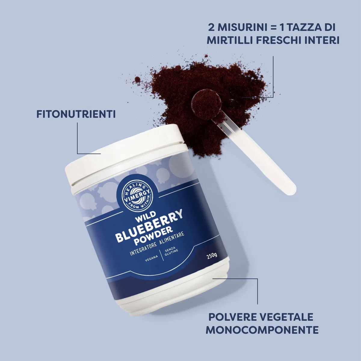 Vimergy Wild Blueberry Powder, 62 Porzioni – Polvere di Mirtilli Selvatici da Mirtilli Interi - Integratore Mirtillo Vegano – Senza Zuccheri Aggiunti o Riempitivi – Senza OGM e Senza Glutine (250 g)