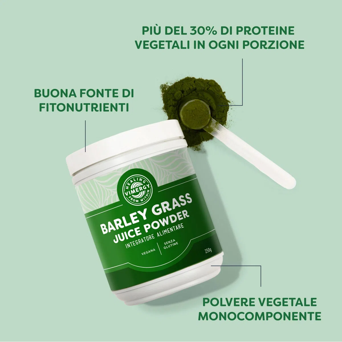 Vimergy Barley Grass Juice Powder, 62 Dosi – Erba d'Orzo in Polvere Super Green – Senza Antiagglomeranti, Riempitivi, Aromi, Zucchero – Vegano, Senza OGM e Senza Glutine (250 g)