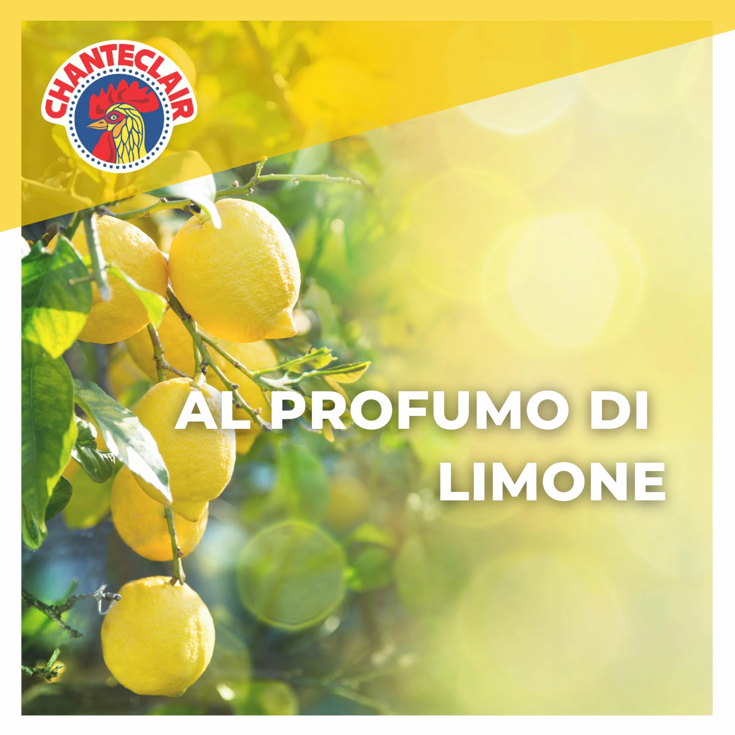 Chanteclair Sgrassatore Universale Ricarica 12x750 ml Profumo Limone