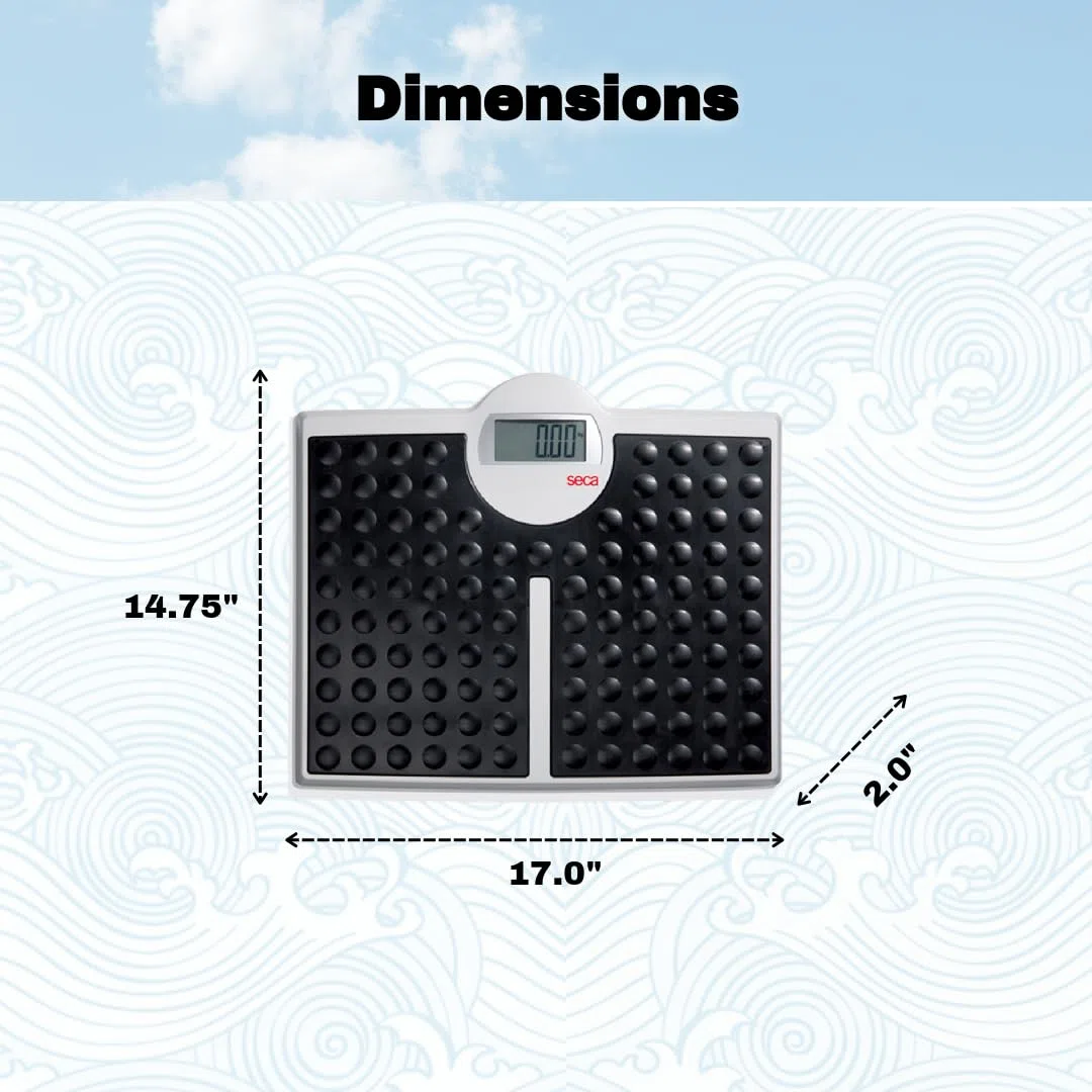 seca 813 High Capacity Digital Flat Scale for Individual Patient Use.