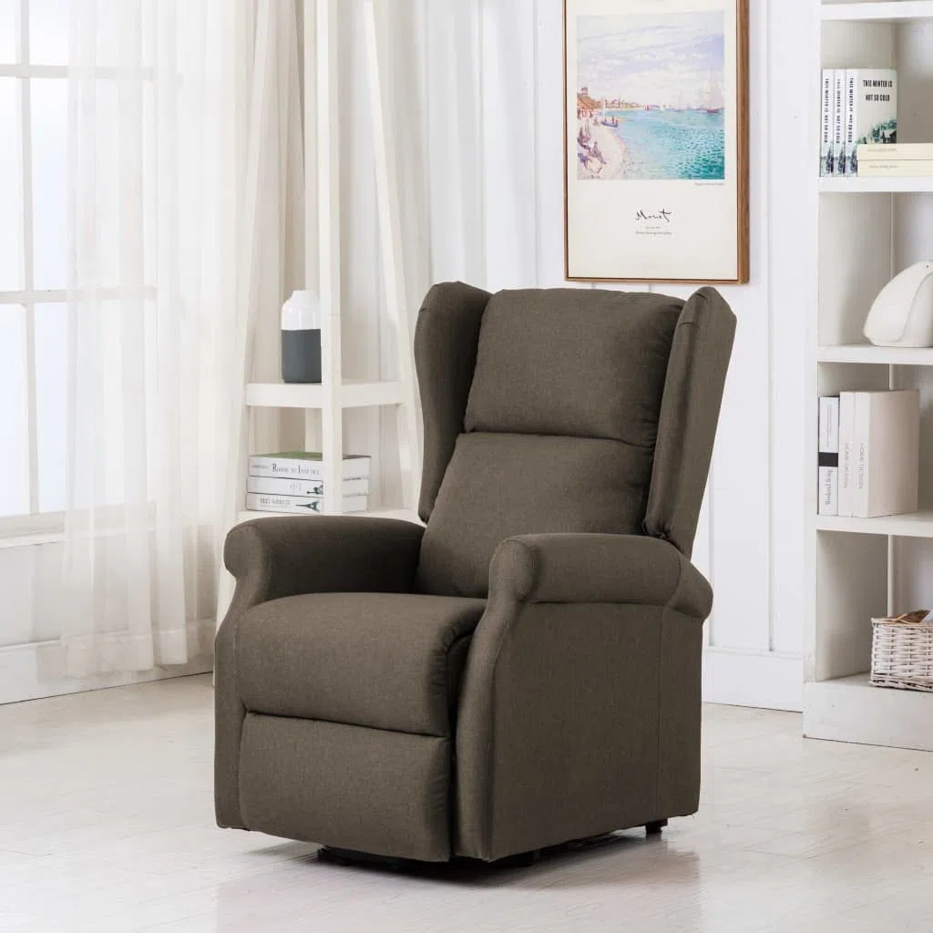 vidaXL Poltrona Massaggiante Alzapersona Poltroncina per Massaggi Divano Singolo Massaggiatore Sedia TV Arredamento Grigio Talpa in Tessuto