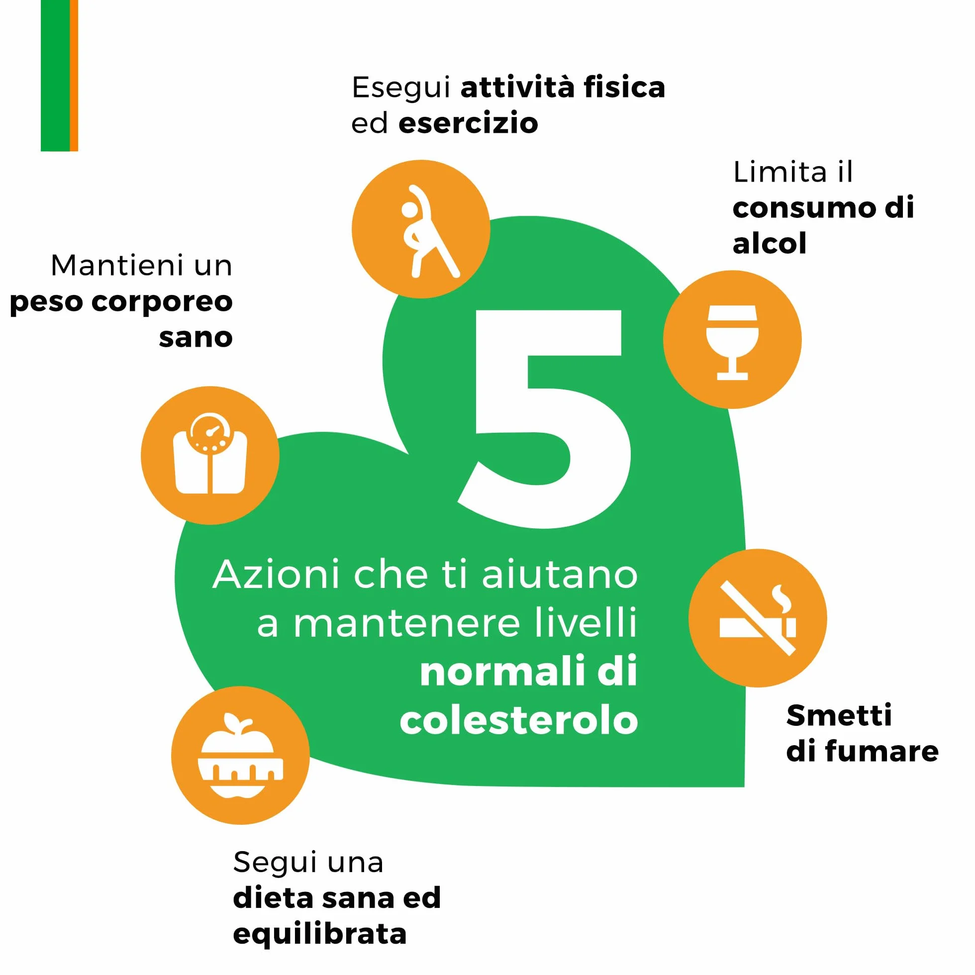 Armolipid Plus 90 Compresse Integratore Alimentare Berberis Aristata Riso Rosso Fermentato Acido Folico Policosanoli Coenzima Q10 Astaxantina