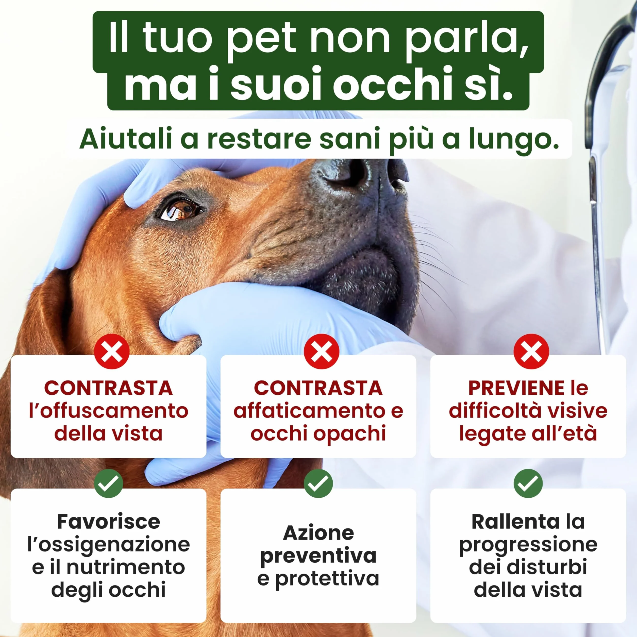 Trebifarma Oftavex per la Vista di Cani e Gatti - Mangime Complementare - Compresse Appetibili - 50 cpr