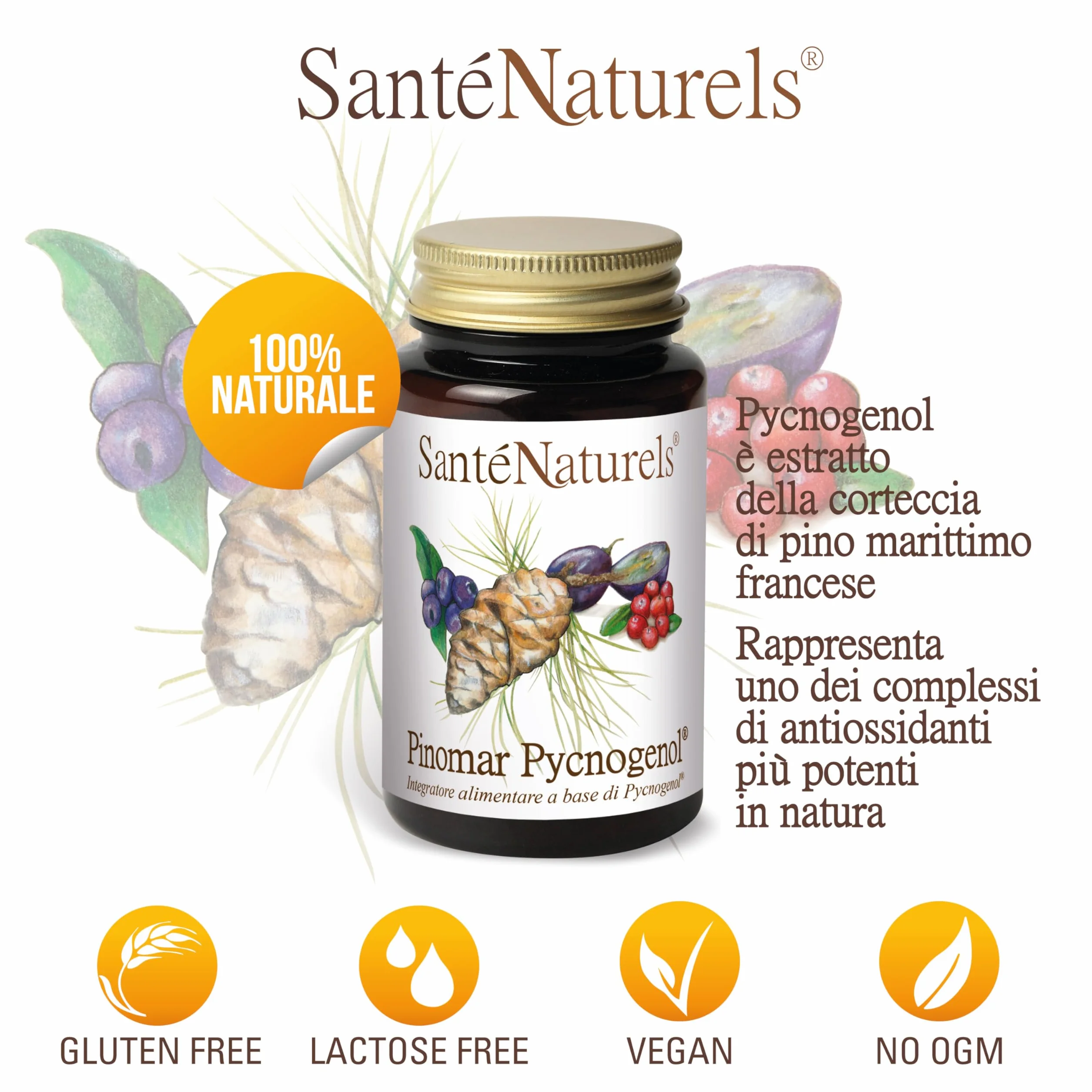Pinomar Pycnogenol 60 Capsule Vegetali Estratto Secco di Pino Marittimo Francese con Mirtillo Nero, Mirtillo Rosso e Acini d'Uva