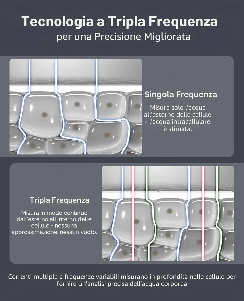 InBody Dial H30 - Bilancia intelligente con BMI, grasso corporeo, massa muscolare, con app, dispositivo di misurazione del grasso corporeo