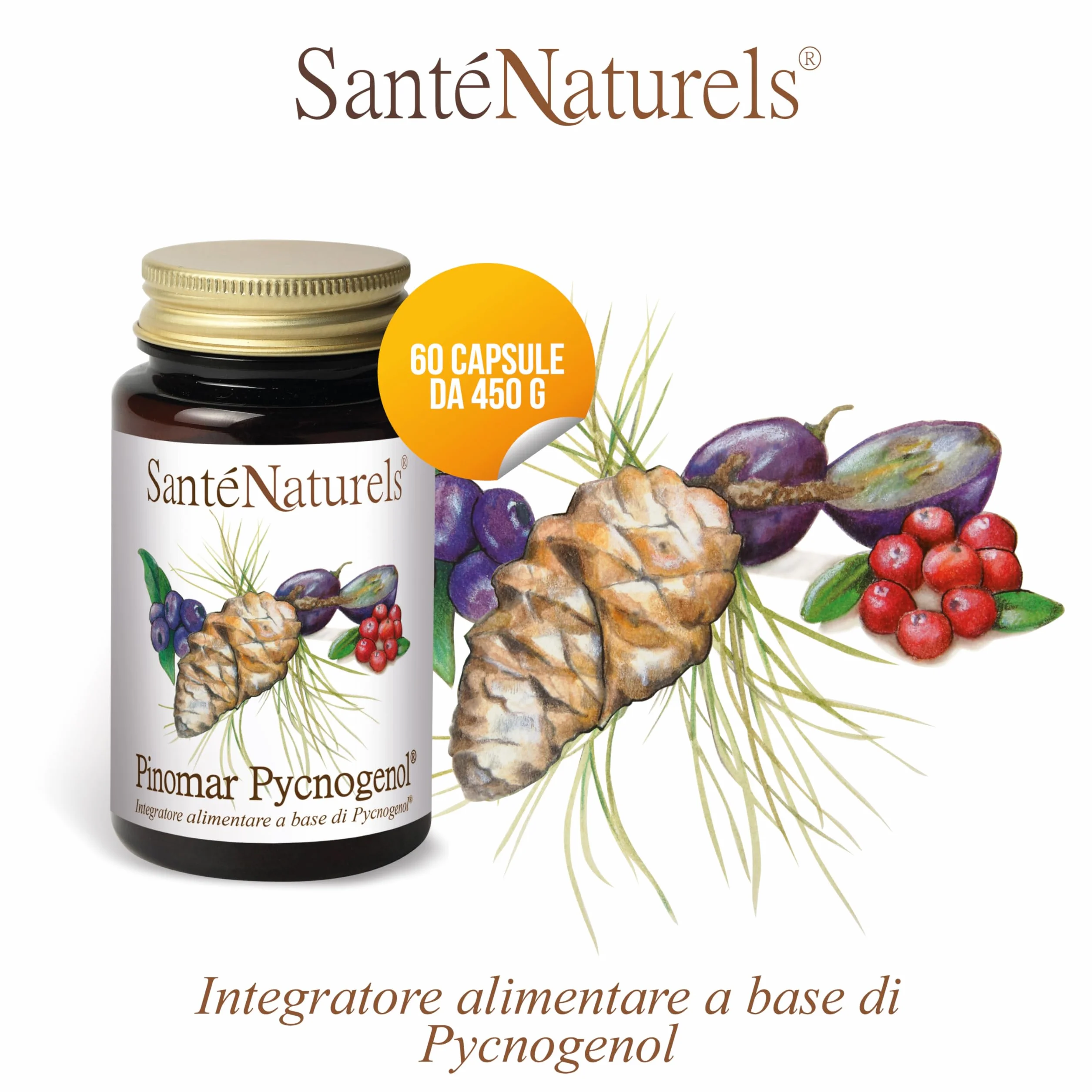 Pinomar Pycnogenol 60 Capsule Vegetali Estratto Secco di Pino Marittimo Francese con Mirtillo Nero, Mirtillo Rosso e Acini d'Uva
