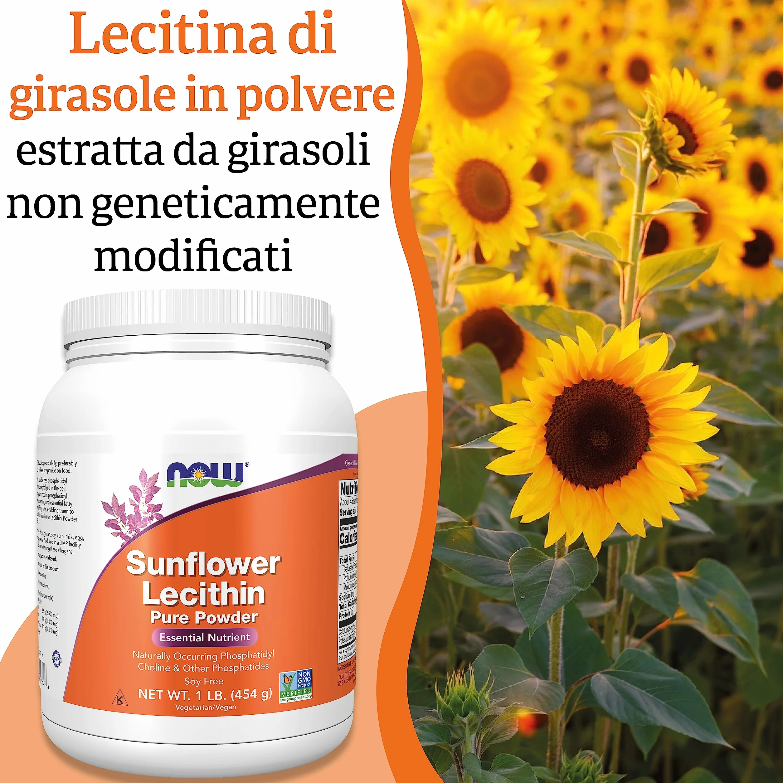 Now Foods Sunflower Lecithin Pura Polvere Vegana 454 g Senza Glutine Senza Soia