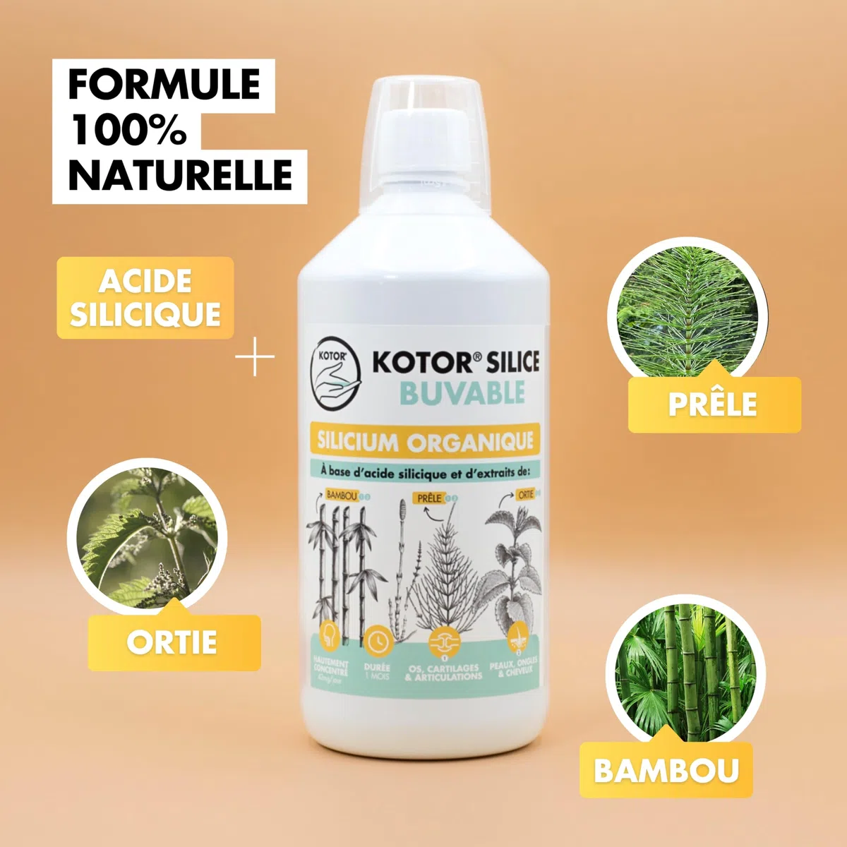 KOTOR SILICE BUVABLE 1L | Set di 3 | Silicio organico francese e naturale, salute delle articolazioni, cartilagine, ossa, pelle, capelli, unghie | silicio + ortica + equiseto + bambù | 3 mesi