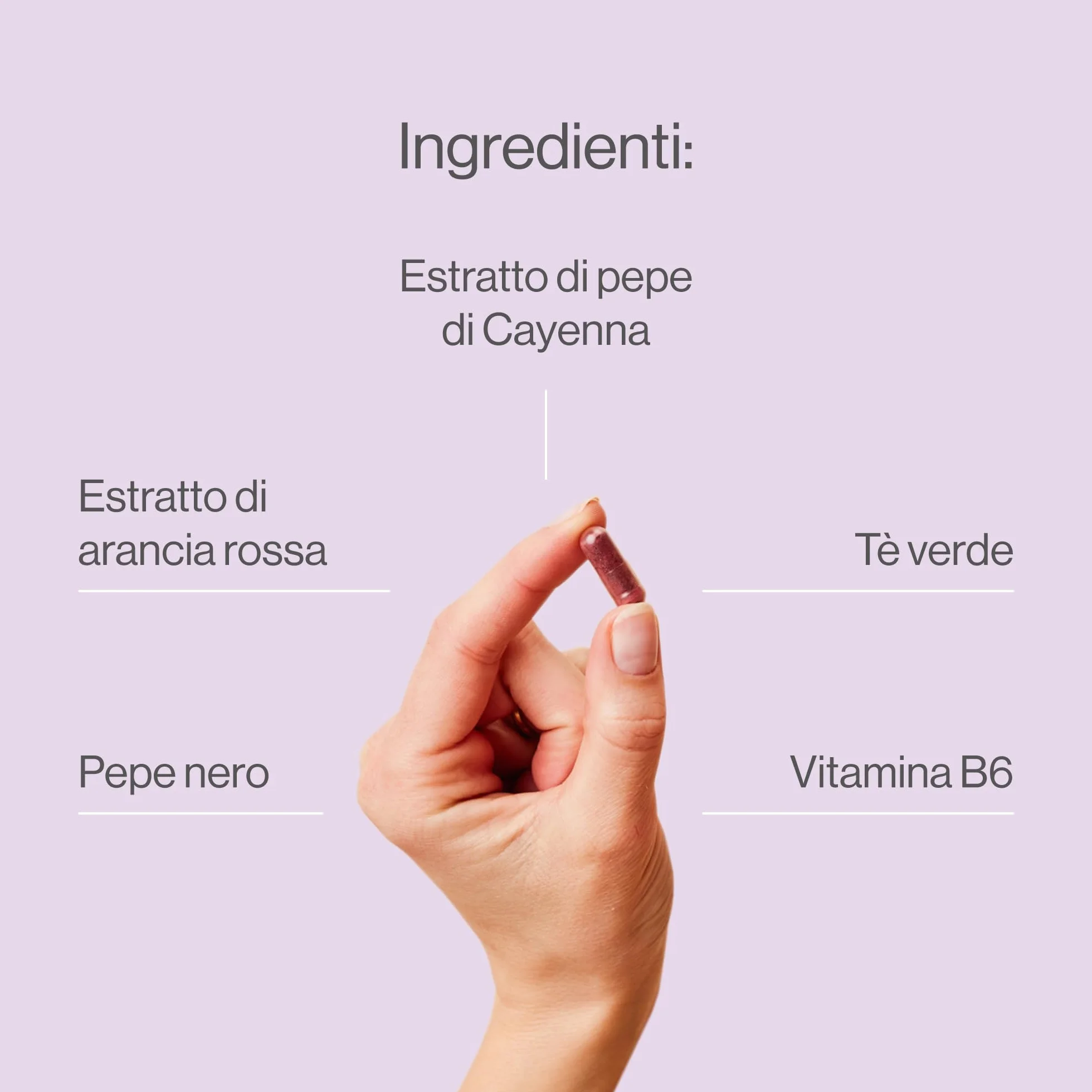 Belly Shaper Brucia Grassi con Morosil, Tè verde, Vitamina C, B6, Pepe di Cayenne e Caffeina 90 Capsule