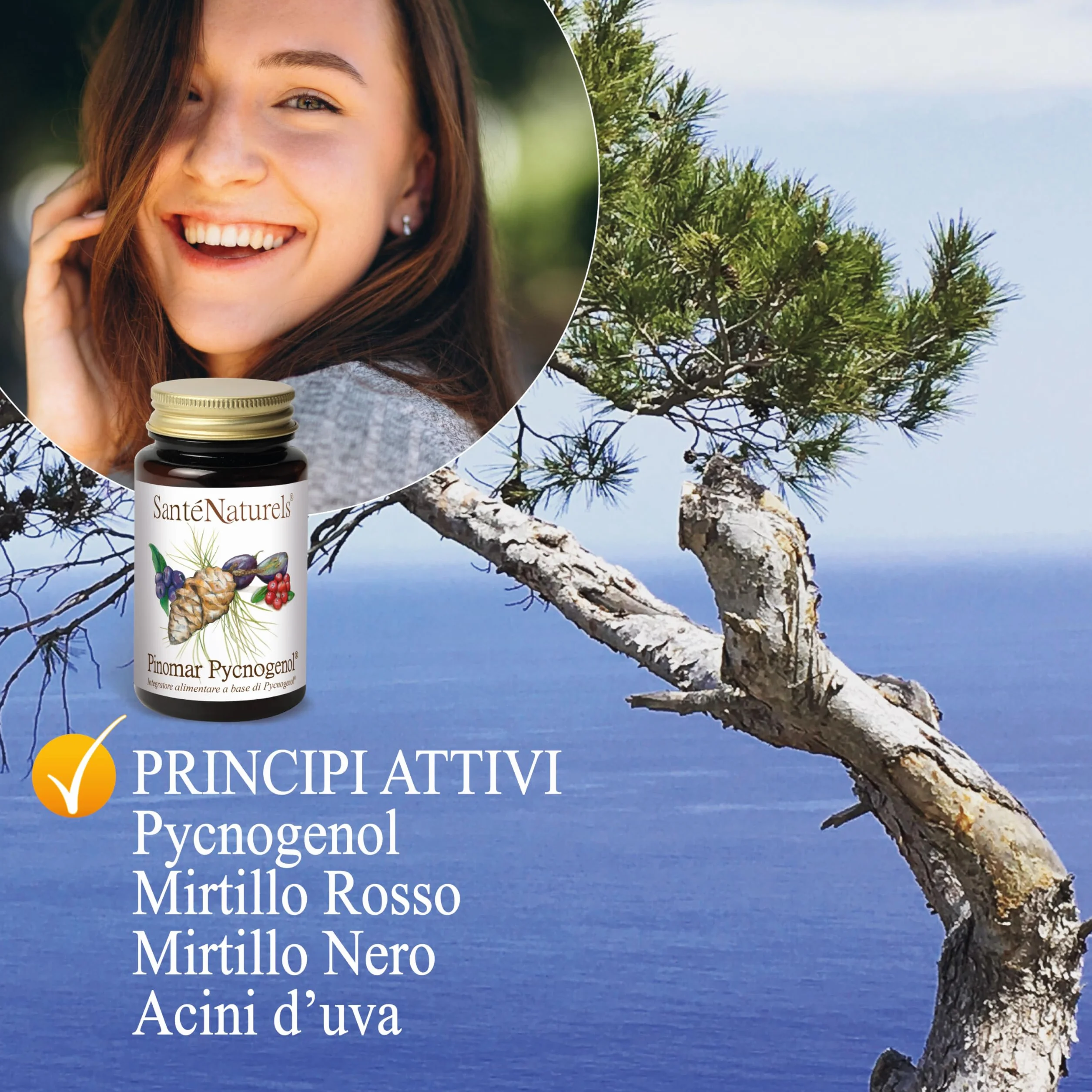Pinomar Pycnogenol 60 Capsule Vegetali Estratto Secco di Pino Marittimo Francese con Mirtillo Nero, Mirtillo Rosso e Acini d'Uva