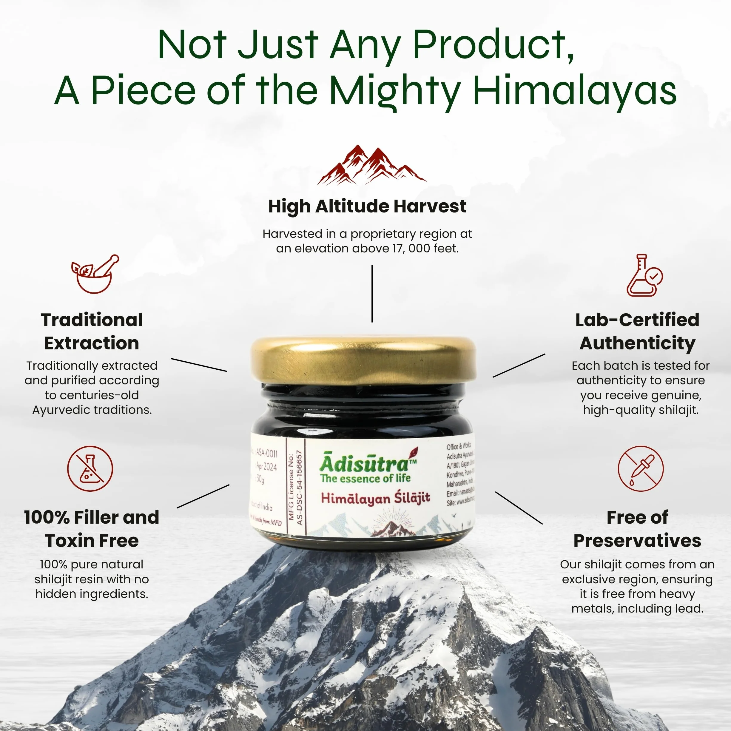 Adisutra Resina Shilajit | Qualità testata con acido fulvico e oligominerali | Shilajit puro per uomo e donna | Shilajit Pure Himalaya biologica, energetica e sistema immunitario