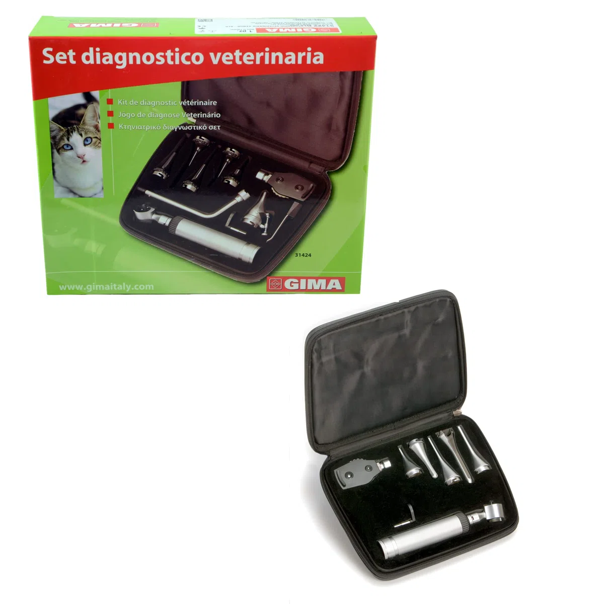 Gima 31425 Set Diagnostica Veterinaria Xenon-Alogeno, Cannule in Metallo