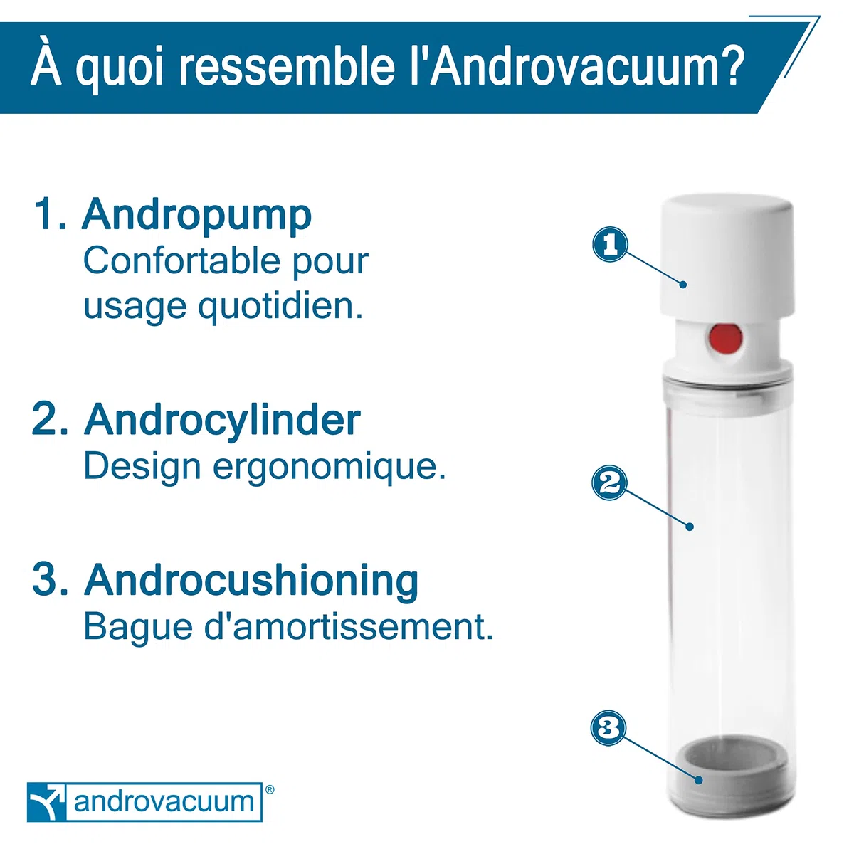 Manual | AVM IT | Andromedical IT