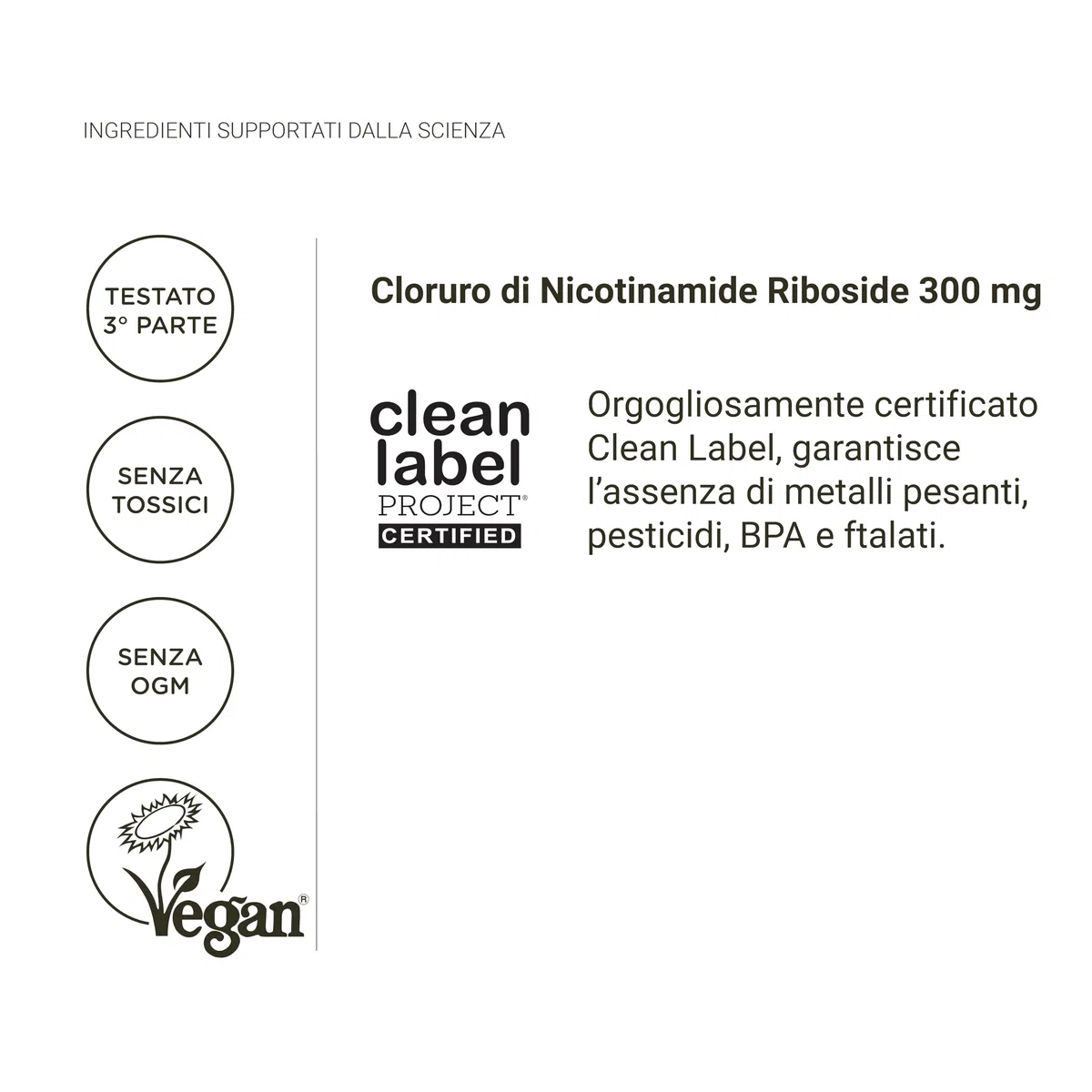 Nullure Nicotinamide Riboside (NR) puro 300mg | Senza stearato di magnesio e senza additivi | Precursore NAD+ | Testato in laboratorio tedesco | Antifatica · Anti-Età | Alternativa NMN | 90 capsule