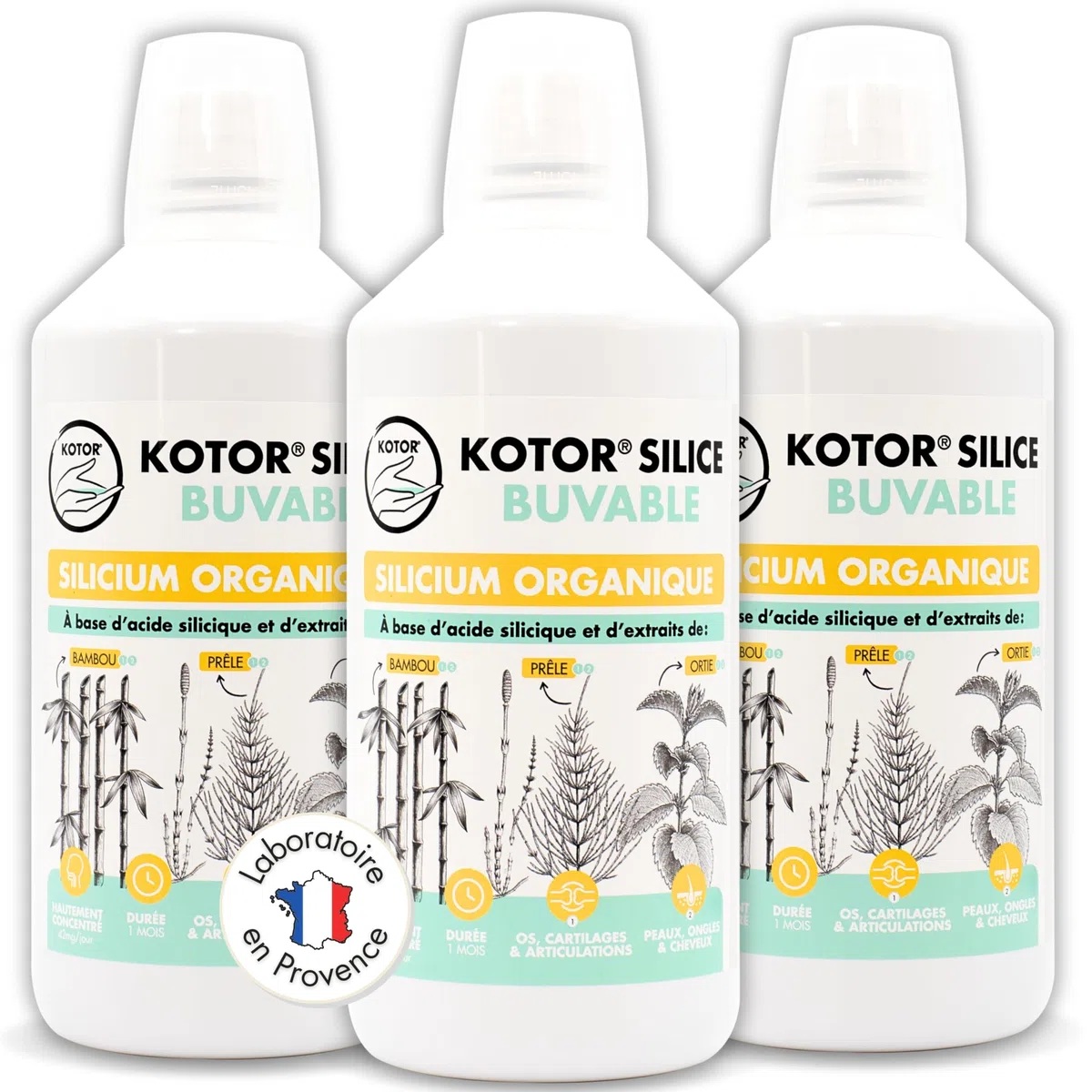 KOTOR SILICE BUVABLE 1L | Set di 3 | Silicio organico francese e naturale, salute delle articolazioni, cartilagine, ossa, pelle, capelli, unghie | silicio + ortica + equiseto + bambù | 3 mesi