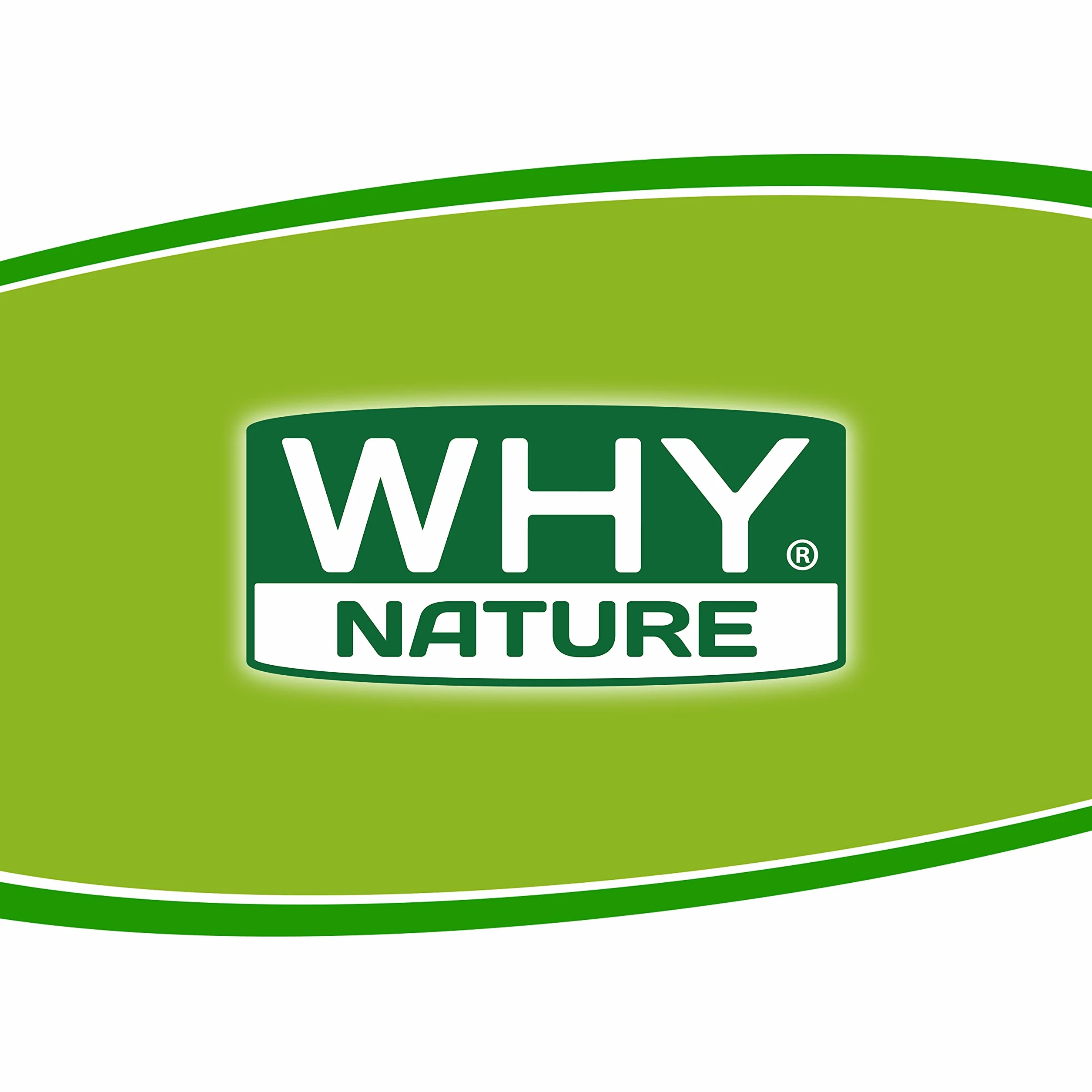 WHY NATURE LIPOIC COMPLEX Acido Alfa Lipoico 800 mg Alto Dosaggio Integratore Alimentare 90 Compresse