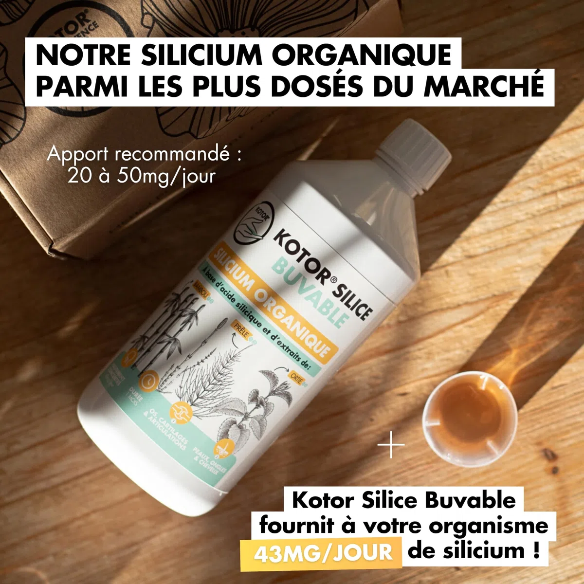 KOTOR SILICE BUVABLE 1L | Set di 3 | Silicio organico francese e naturale, salute delle articolazioni, cartilagine, ossa, pelle, capelli, unghie | silicio + ortica + equiseto + bambù | 3 mesi