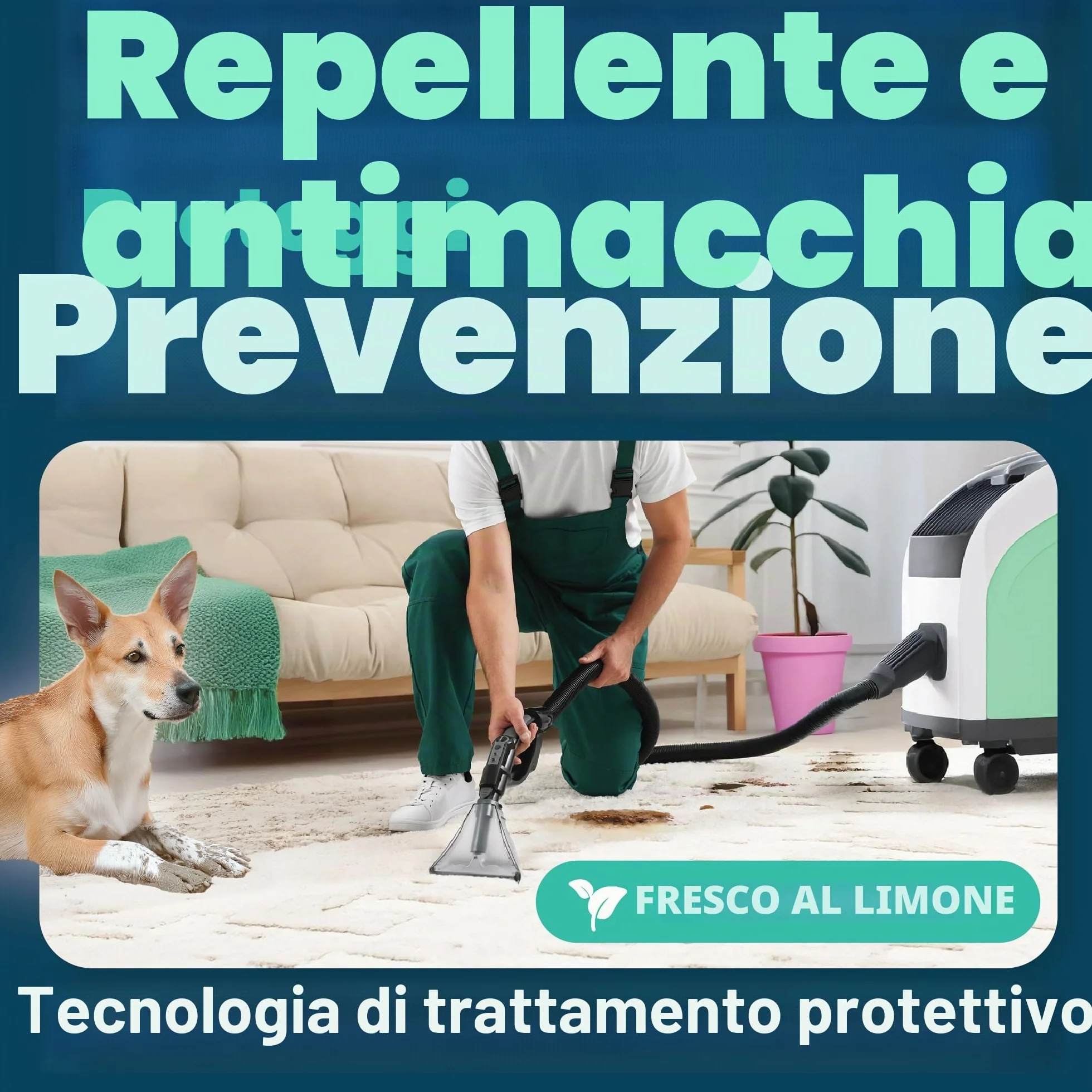 Dirtbusters Pulizia e protezione concentrato 4 in 1 5 litri shampoo professionale per moquette e tappezzeria detergente agli agrumi con neutralizzatore di odori