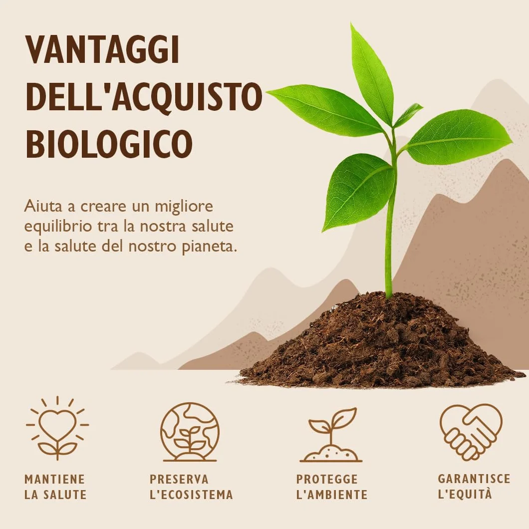 Sevenhills Wholefoods Erba D'Orzo Biologica Europea in Polvere 1kg