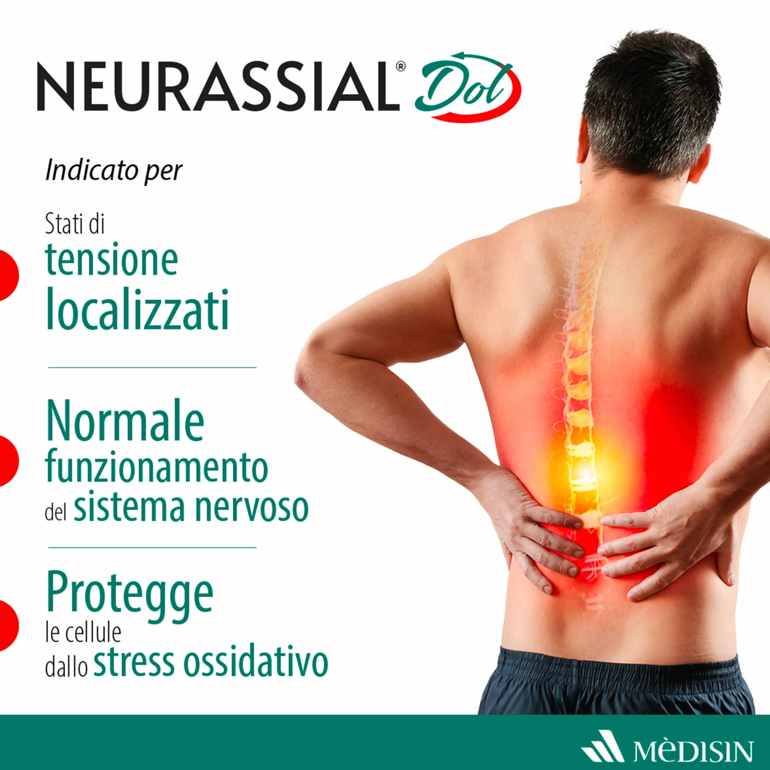NEURASSIAL DOL Integratore alimentare Acido Alfa Lipoico L-acetilcarnitina Zenzero Acmella Vitamina E Vitamina B6 20 Compresse