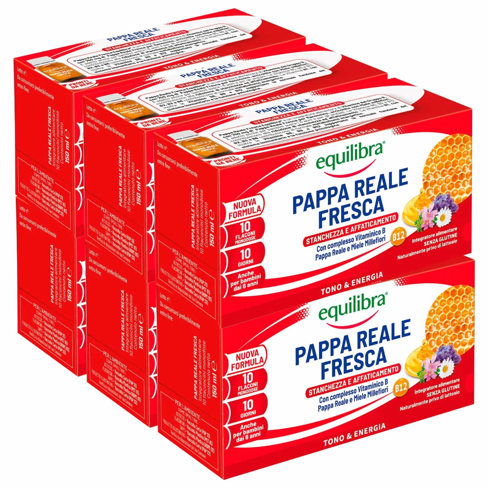 Equilibra Integratore Pappa Reale Fresca con Vitamina B e Miele Millefiori per Stanchezza e Affaticamento Senza Glutine e Lattosio - 6 Confezioni da 10 Flaconi, 1500 g